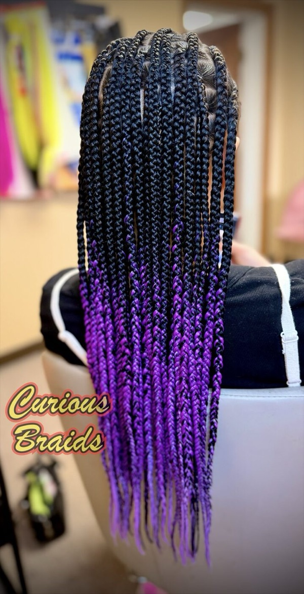 Fulani braids · purple — braided by Curious Braids in Defiance, Ohio